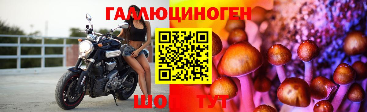 Псилоцибиновые грибы GOLDEN TEACHER  Вход с VPN  Каменск-Шахтинский 