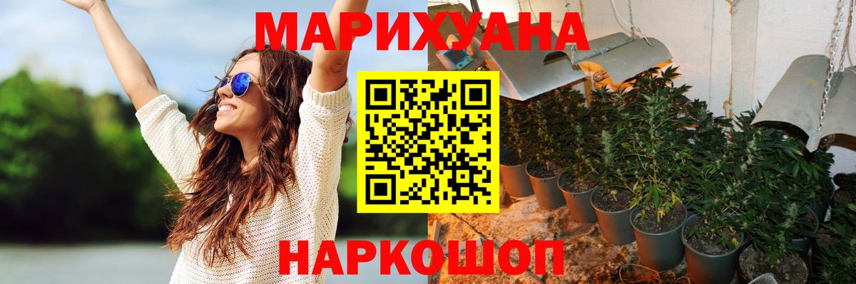 Каннабис OG Kush  Вход с VPN  Конопля тримм  Каменск-Шахтинский  МАРИХУАНА планчик 